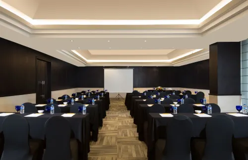 Delonix Hotel Karawang Fasilitas Bisnis Photos
