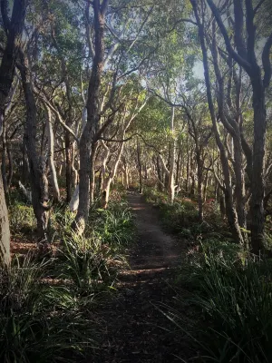 Huskisson Bayside Resort Near Hotel Photos