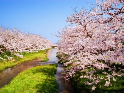 Tamatsukuri Grand Hotel Choseikaku Circondario Photos