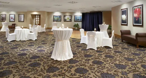 Sheraton Houston Brookhollow Hotel Restauration Photos