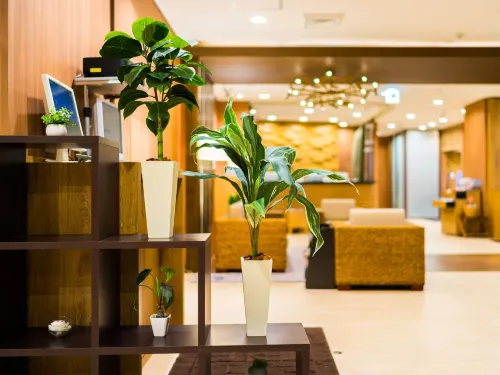 Super Hotel Ikebukuro-Eki Kitaguchi الأماكن العامة Photos