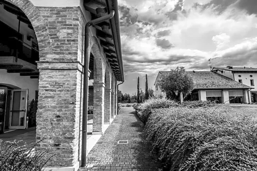 Annia Park Hotel Venice Airport Circondario Photos