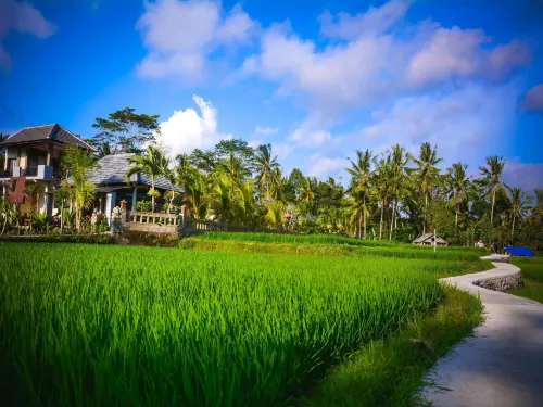 Villa JJ and Spa Ubud Dekat Hotel Photos