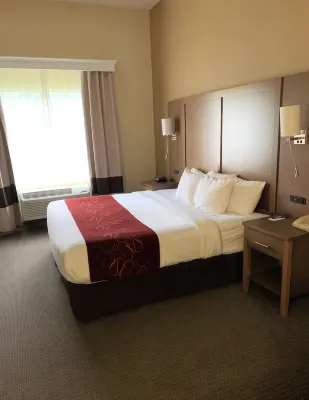 Comfort Suites Bush InterContinental Airport Kamar Photos