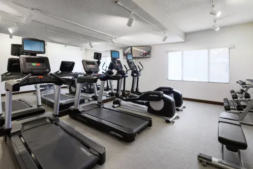 SpringHill Suites Tempe at Arizona Mills Mall Leisure & Recreation Photos