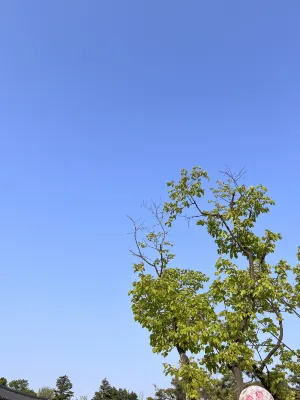 브라운스위트호텔 신촌센트럴 호텔 주변 Photos