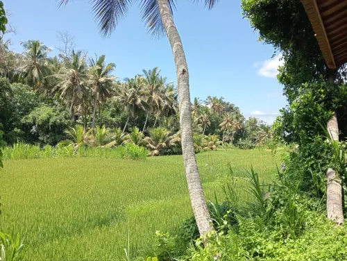 Kubu Selat Villa and Glamping Near Hotel Photos