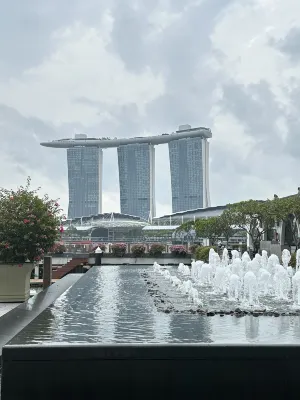 Holiday Inn Singapore Orchard City Centre Photos