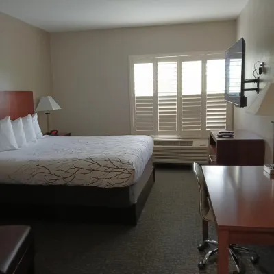 Best Western Lanai Garden Inn  Suites Camere Photos