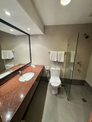 파크뷰 호텔 제루동 객실 Photos