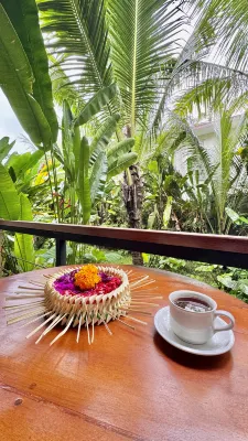 The Compass Rose Ubud Photos