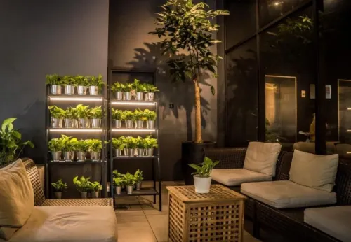 Z Hotel Johor Bahru Photos
