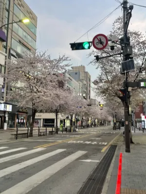 포레스타 호텔 신촌 호텔 주변 Photos