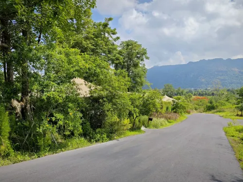 Marasca Khao Yai - Eco-Friendly Glamping Escape Near National Park Xung quanh Photos