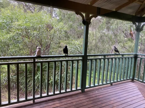Yallingup Forest Resort Photos