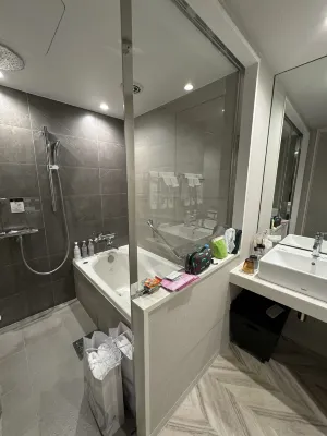 Daiwa Roynet Hotel Tokyo Kyobashi Premier الغرف Photos
