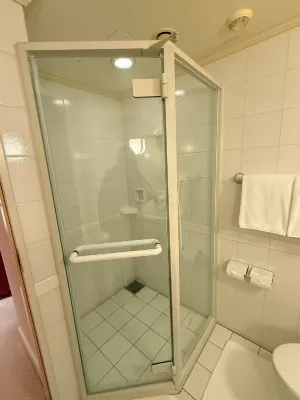 Dai-Ichi Hotel Tokyo Rooms Photos