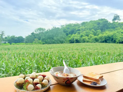 Tantai Eco Farm Stay at Khao Yai 식사 Photos