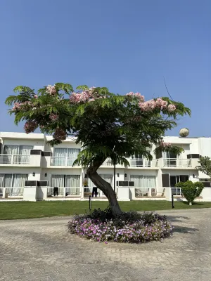 Pyramids Park Resort Cairo Extérieur Photos