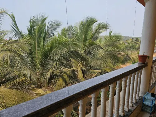 Arambol Paradise พื้นที่ส่วนกลาง  Photos
