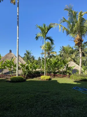 Mesari Hotel Ubud Öffentliche Flächen Photos