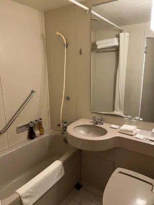 ANA Crowne Plaza Kobe Rooms Photos