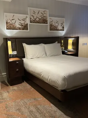 Hilton London Hyde Park Camere Photos