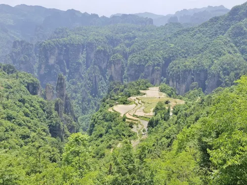 Borrman International Hotel (Zhangjiajie National Forest Park Biaozhimen) Near Hotel Photos