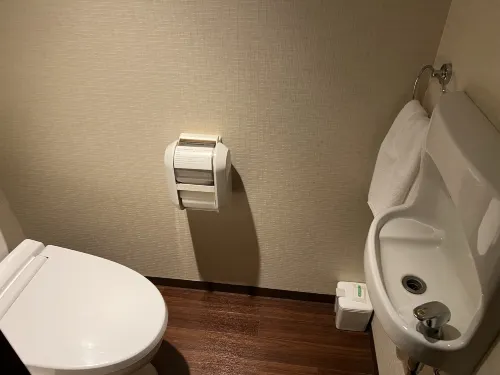 Ana Holiday Inn Kanazawa Sky Rooms Photos