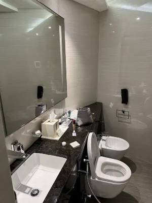 Hyatt Regency Dubai Creek Heights Номера Photos