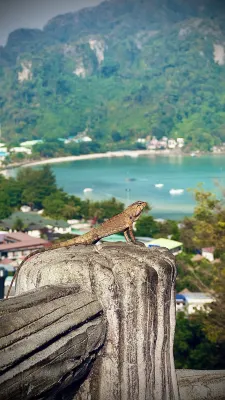 The Melody Phuket Photos