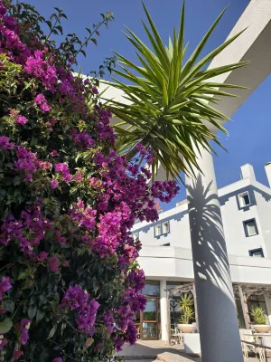 Ibis Faro Algarve Photos