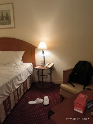 Pullman Bucharest World Trade Center Rooms Photos