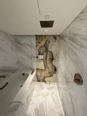 Grand Hyatt Singapore Chambres Photos
