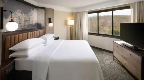 Embassy Suites by Hilton Tysons Corner Rooms Photos