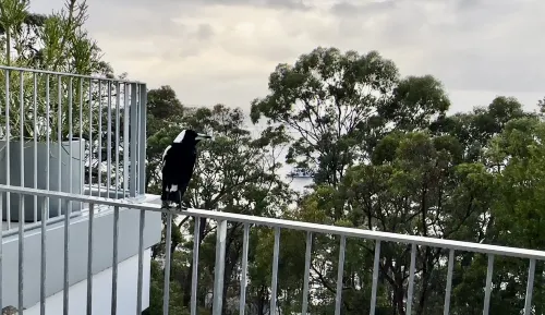 Bannisters Port Stephens Near Hotel Photos