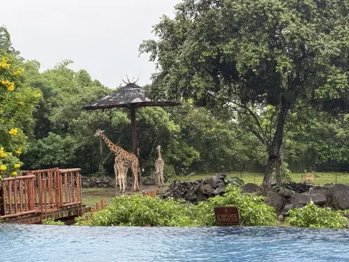 Baobab Safari Resort Relaksasi & Rekreasi Photos
