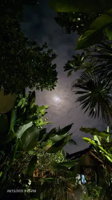 Alam Pracetha Bali Ubud بالقرب من الفندق Photos