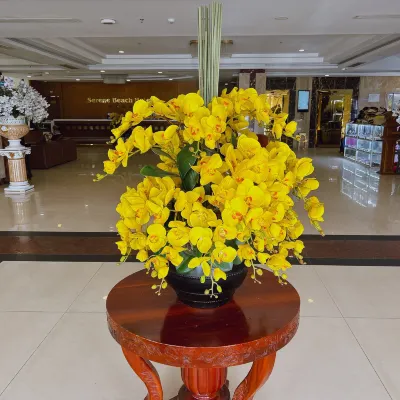 Serene Beach Hotel Danang Общественные зоны Photos