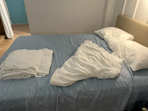 Universal’s Endless Summer Resort – Surfside Inn and Suites Rooms Photos