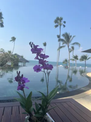 Napasai Samui Loisirs et amusements Photos