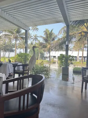 The Blue Water - Geoffrey Bawa Heritage - City Resort Hotel Ruokailu Photos