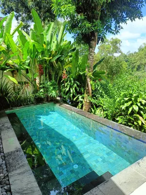 Amora Ubud Boutique Villas Loisirs et amusements Photos