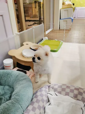 경주게스트하우스 프랜드 (Gyeongju Friend Guesthouse) Photos