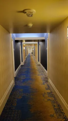 Disneyland Hotel Aree comuni Photos
