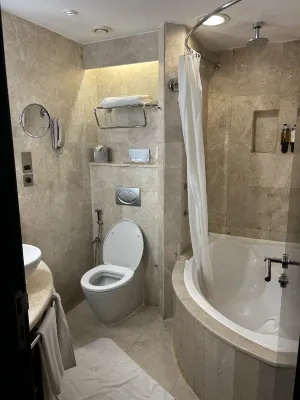 Ramada Plaza by Wyndham Dubai Deira Rooms Photos