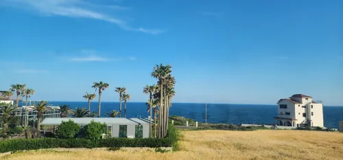 유니호텔 제주 호텔 주변 Photos