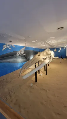 제주 찰리호텔 Photos
