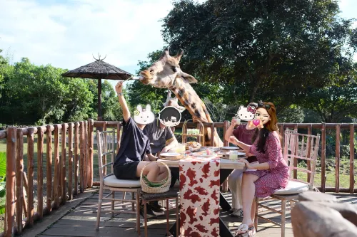 Baobab Safari Resort Photos