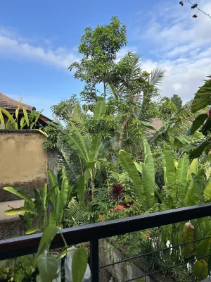 The Compass Rose Ubud Xung quanh Photos